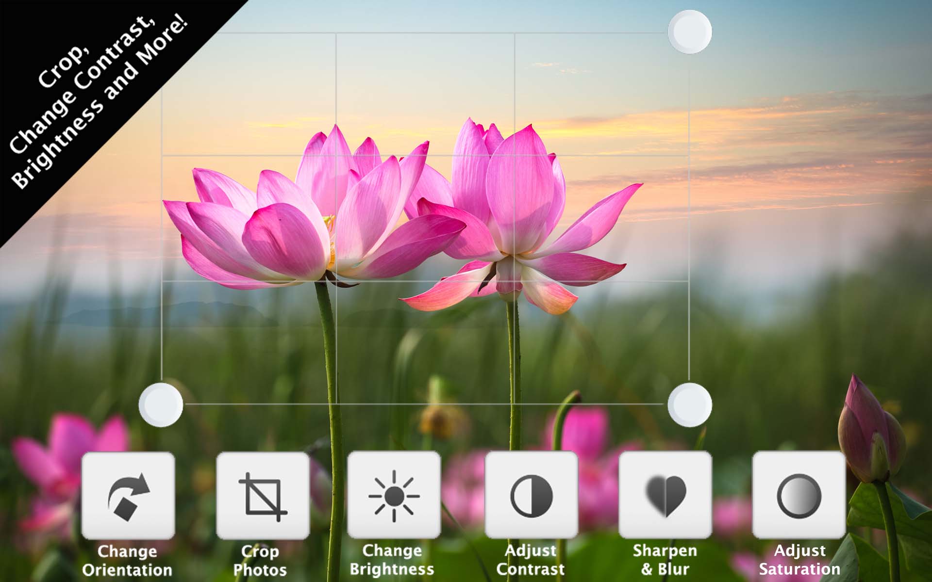 Photo Editor+ - App on Amazon Appstore