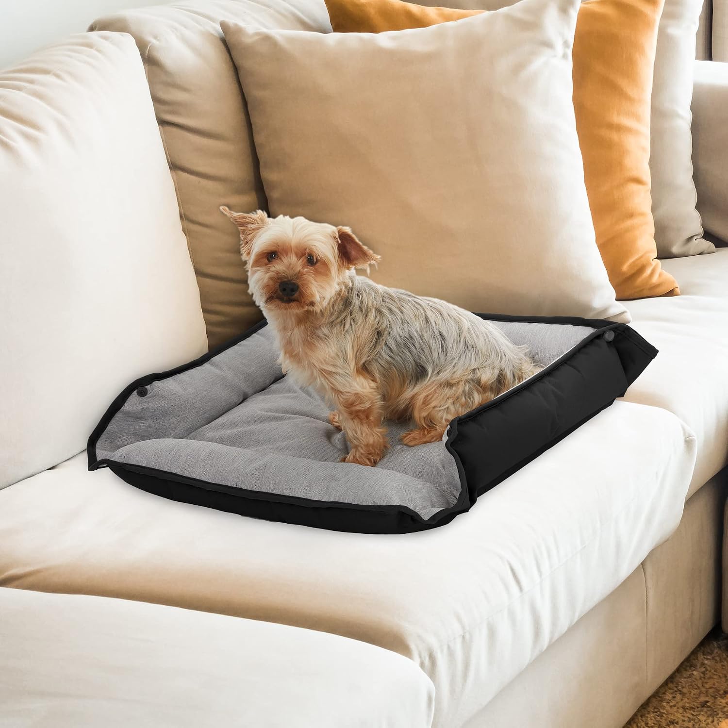BLACK+DECKER Medium Dog 4 in 1 Snap Pet Bed, Low Profile, Sofa Cover, Mat, Crate Liner, Soft Breathable Pet Bed Premium Bedding, 24 in x 20 in, (Medium, Black)