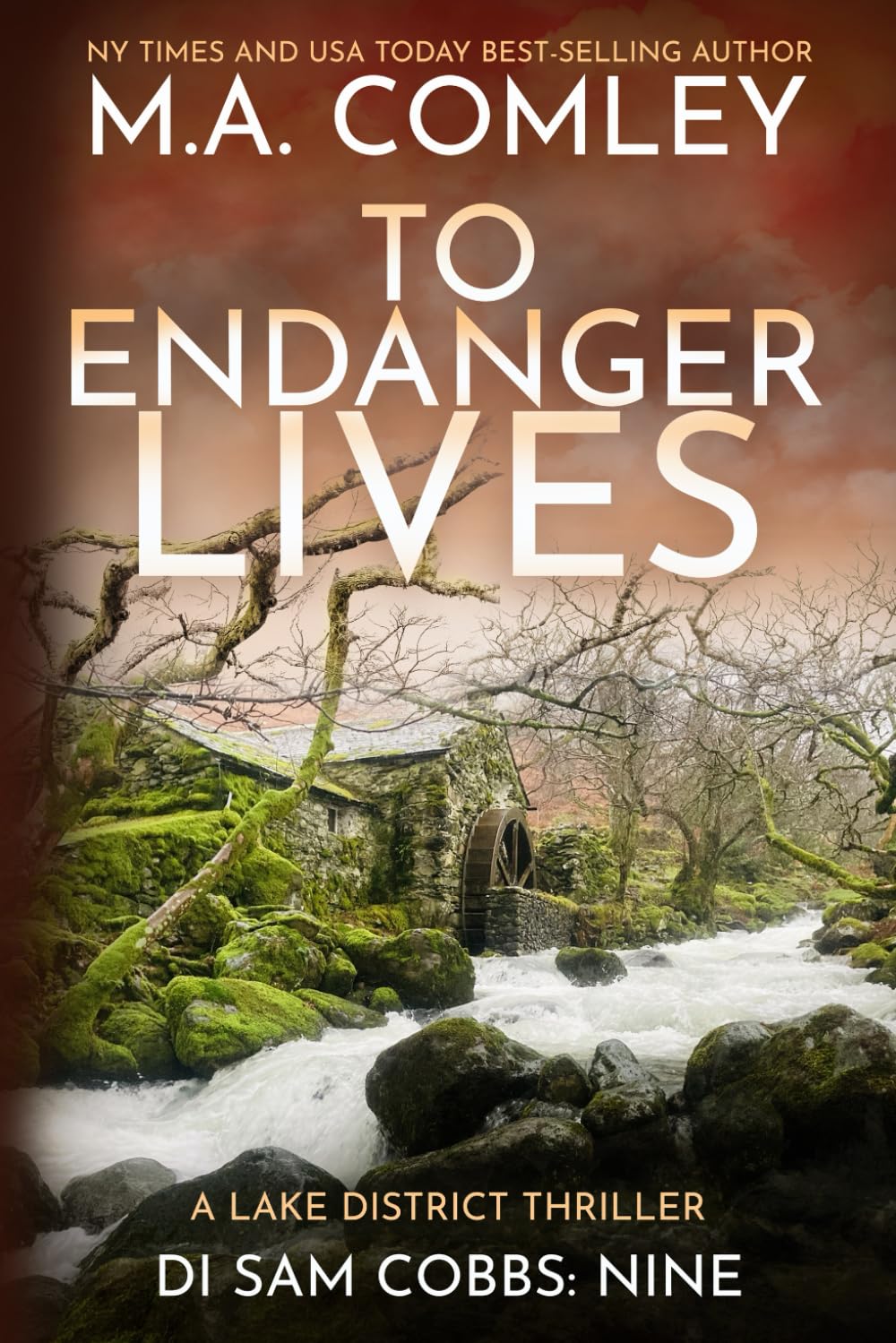 To Endanger Lives: A Lake District thriller: 9 (DI Sam Cobbs)