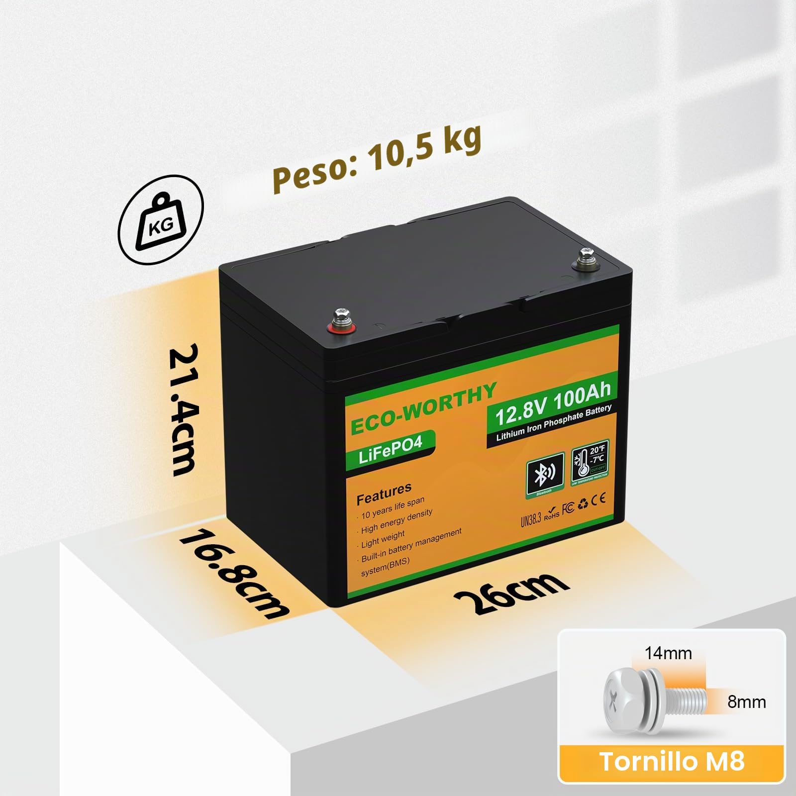 ECO-WORTHY LiFePO4 Bluetooth 12 V 100 Ah con Cargador de 12/24 V 20 A, bateria Litio 12 V 100 Ah con protección BMS de Baja Temperatura para caravanas, Barcos, caravanas