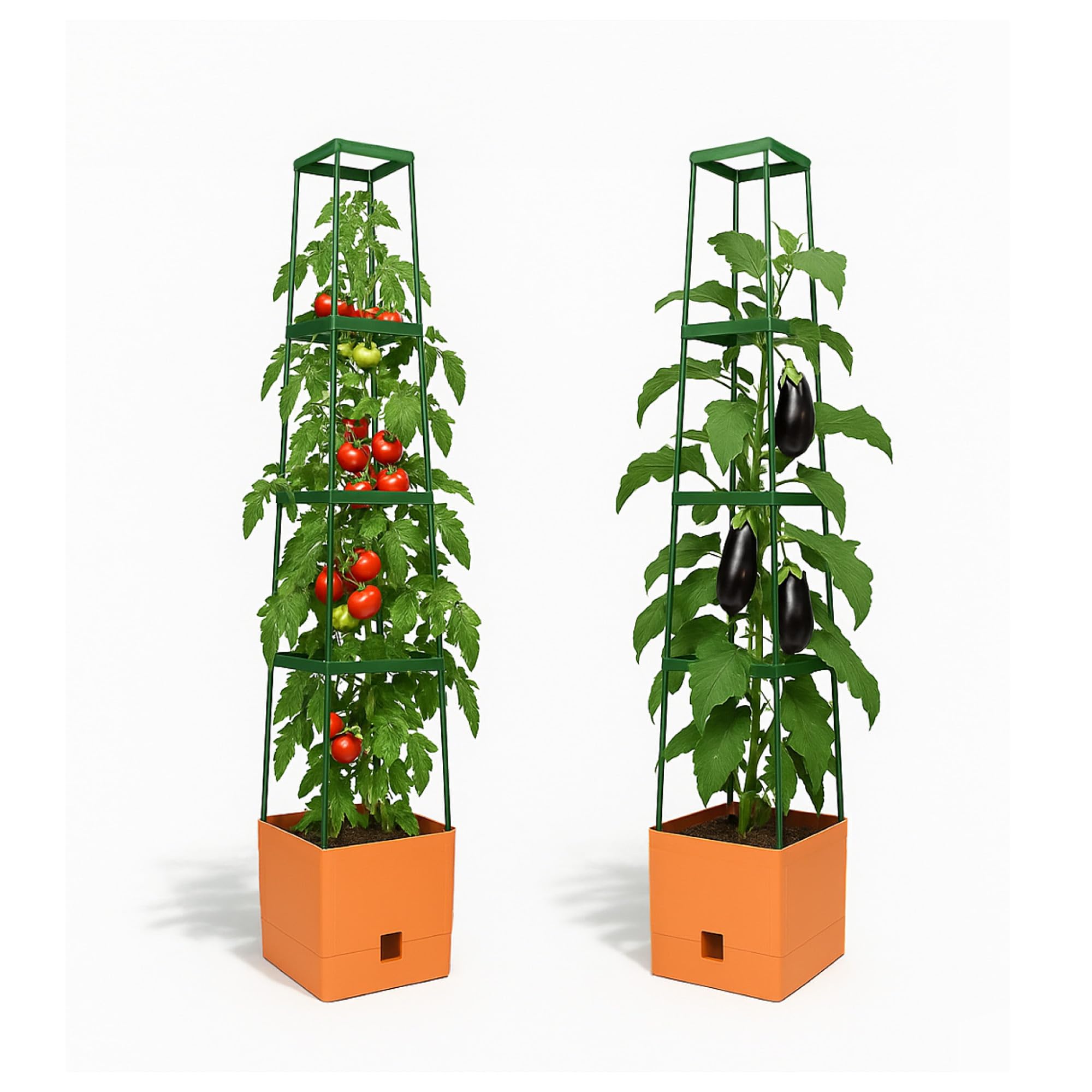 Amazon.com : BioGreen 2 Pack Garden Tomato Planter MAXITOM, with