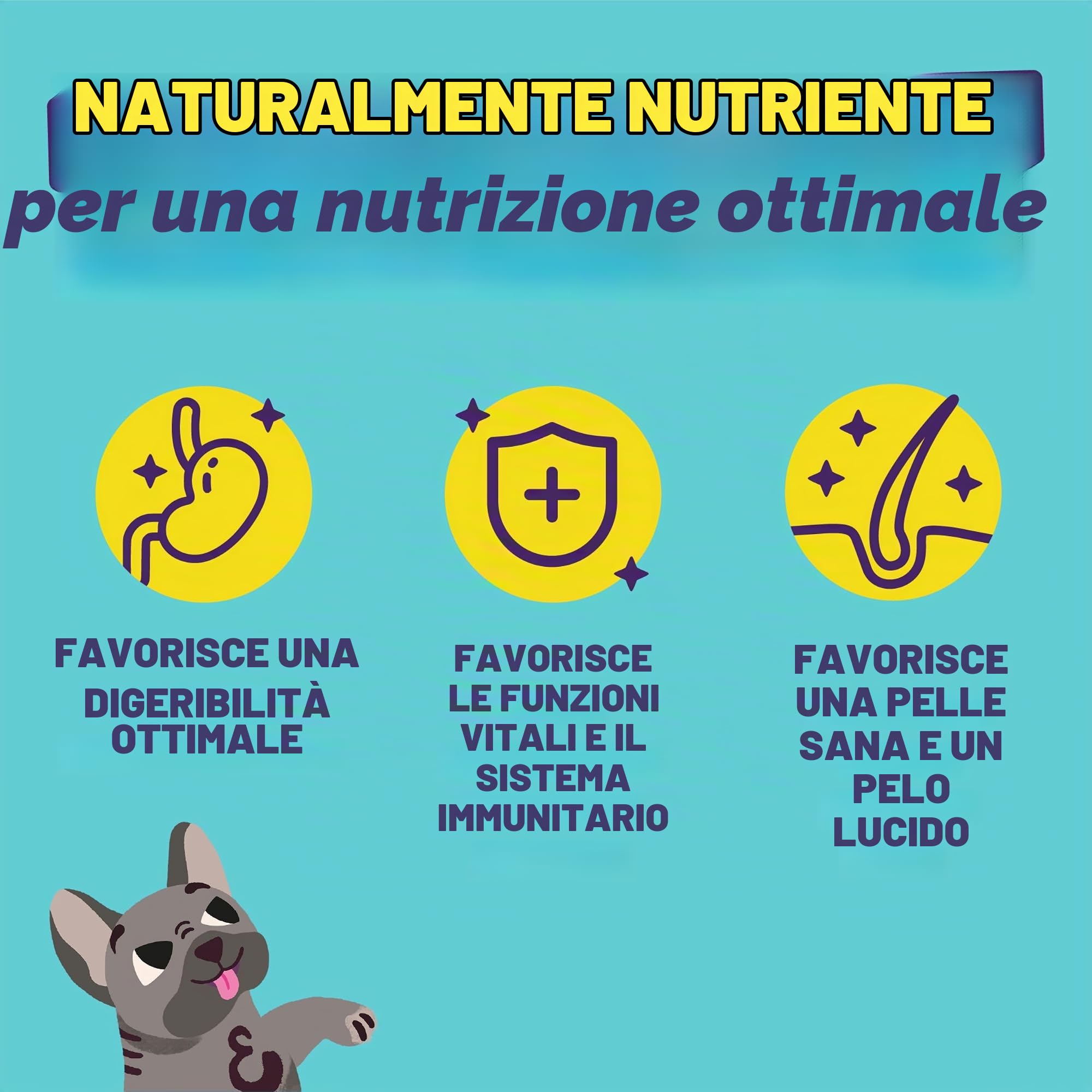 Edgard & Cooper Crocchette Cani Adulti Cibo Secco Senza Cereali Mangime Naturale 12kg Agnello Fresco, Alimentazione Completa, Sana ed Equilibrata per Cani di Ogni Taglia
