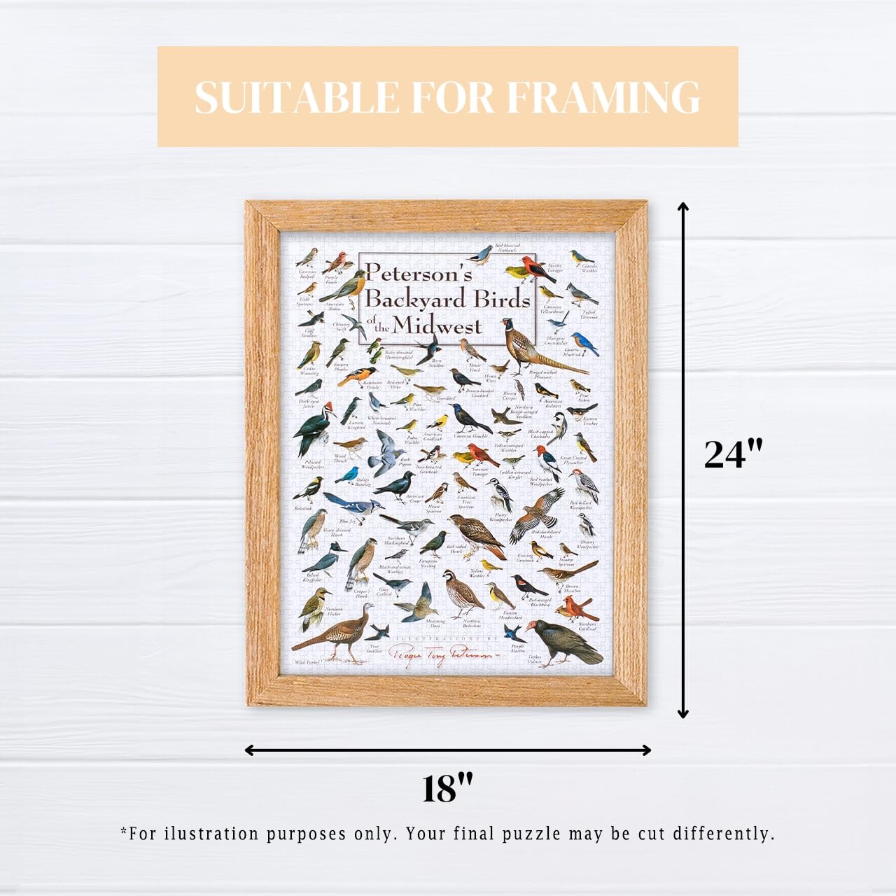 Amazon.com: Heritage Puzzle Backyard Birds of The Midwest by Roger