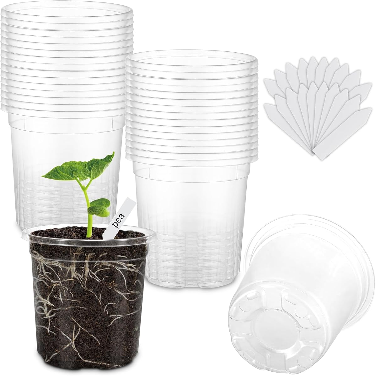 Paquete de 30 macetas transparentes para plantas de vivero, 4 pulgadas con orificios de drenaje, 20 etiquetas | Alta transparencia (visión clara del crecimiento de las raíces), buen drenaje, paquete de 20 etiquetas para plantas de fácil identificación