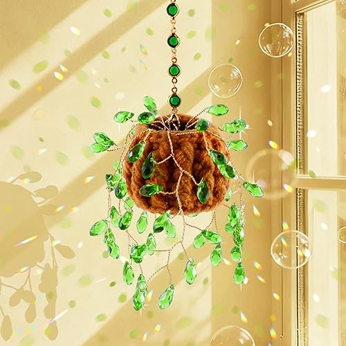 Kit de plantas con cuentas para suculentas, atrapasoles de sol, regalos para amantes de las plantas, atrapa el sol suculenta para colgar en la