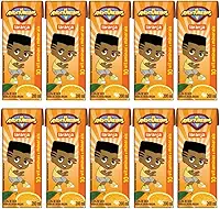 Kit 10 Unidades de Sucos Sabor Laranja - Os Aventureiros