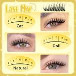 Lash Clusters Natural Eyelash Clusters 8-12MM Wispy Lash Extensions C Curve Individual Lashes Clear Band Cluster Lashes Clean Makeup DIY Lash Pack (Short Ver.)