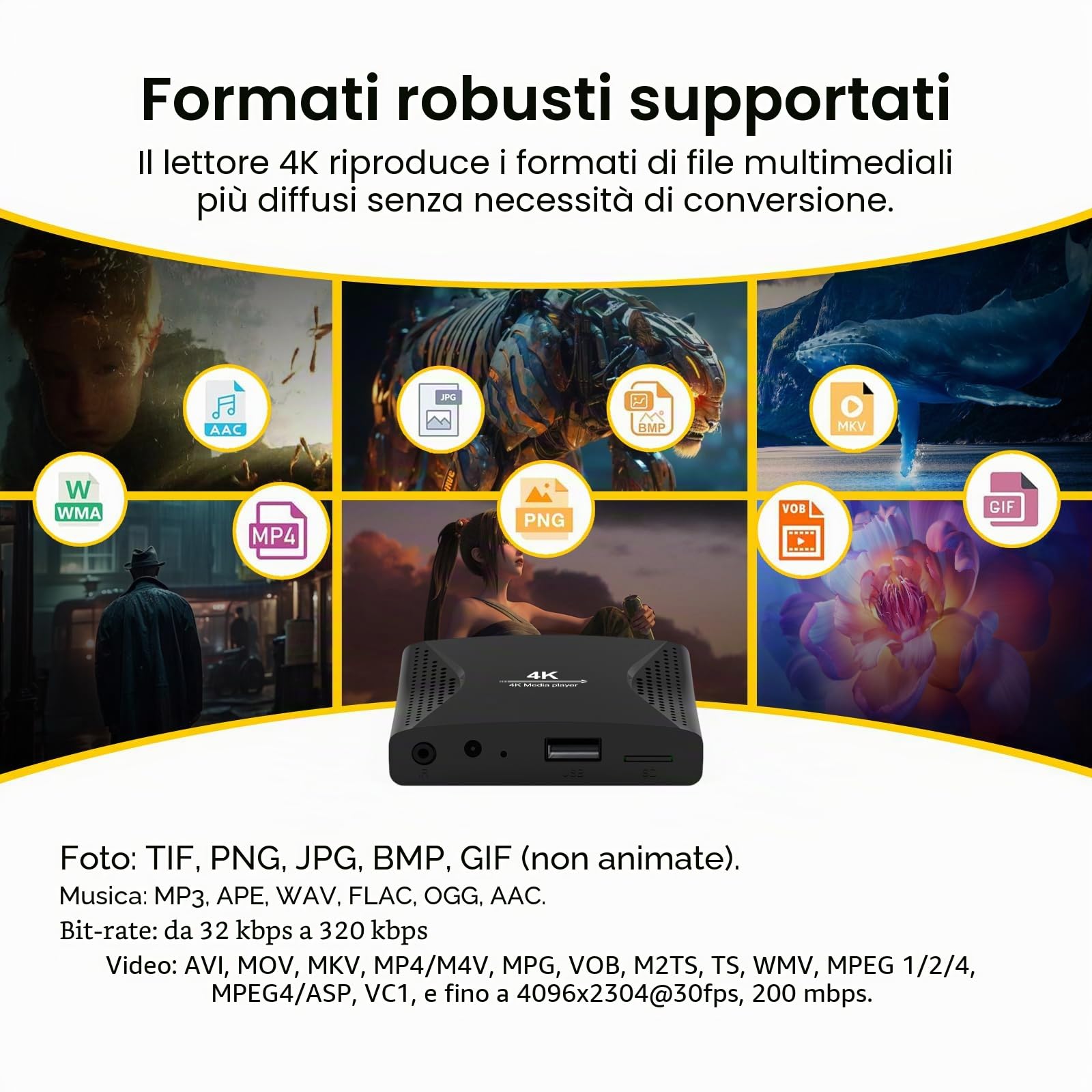 ZUMKUNM Lettore multimediale digitale 4K UHD e 1080P per unità USB e schede MicroSD, Digital Signage, H.265/HEVC H.264/AVC MP4 MKV Video MP3 Music JPG Photos,4K HDMI,Analogico AV,Auto Play and Resume