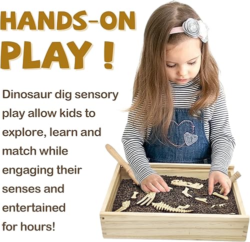 Miniatura 3 de Xylolin Kit de excavación de dinosaurios de arqueología para niños, juguetes de recipiente sensorial para explorar fósiles, rompecabezas de huesos
