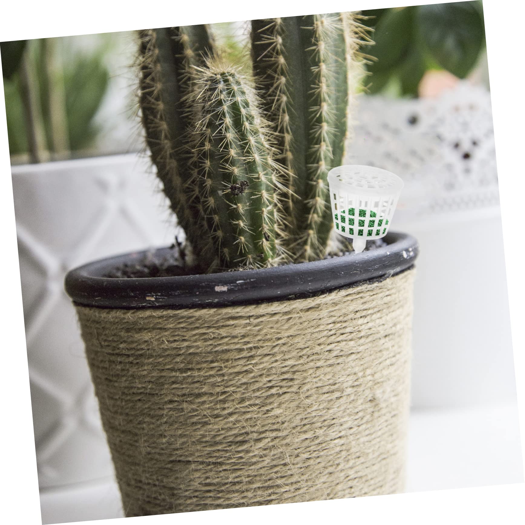 SOIMISS Caja De Fertilizantes Para Plantas De Bonsái De Interior Soporte Para Fertilizantes De Jardín Cesta De De Liberación Lenta Cesta De 30 piezas*4
