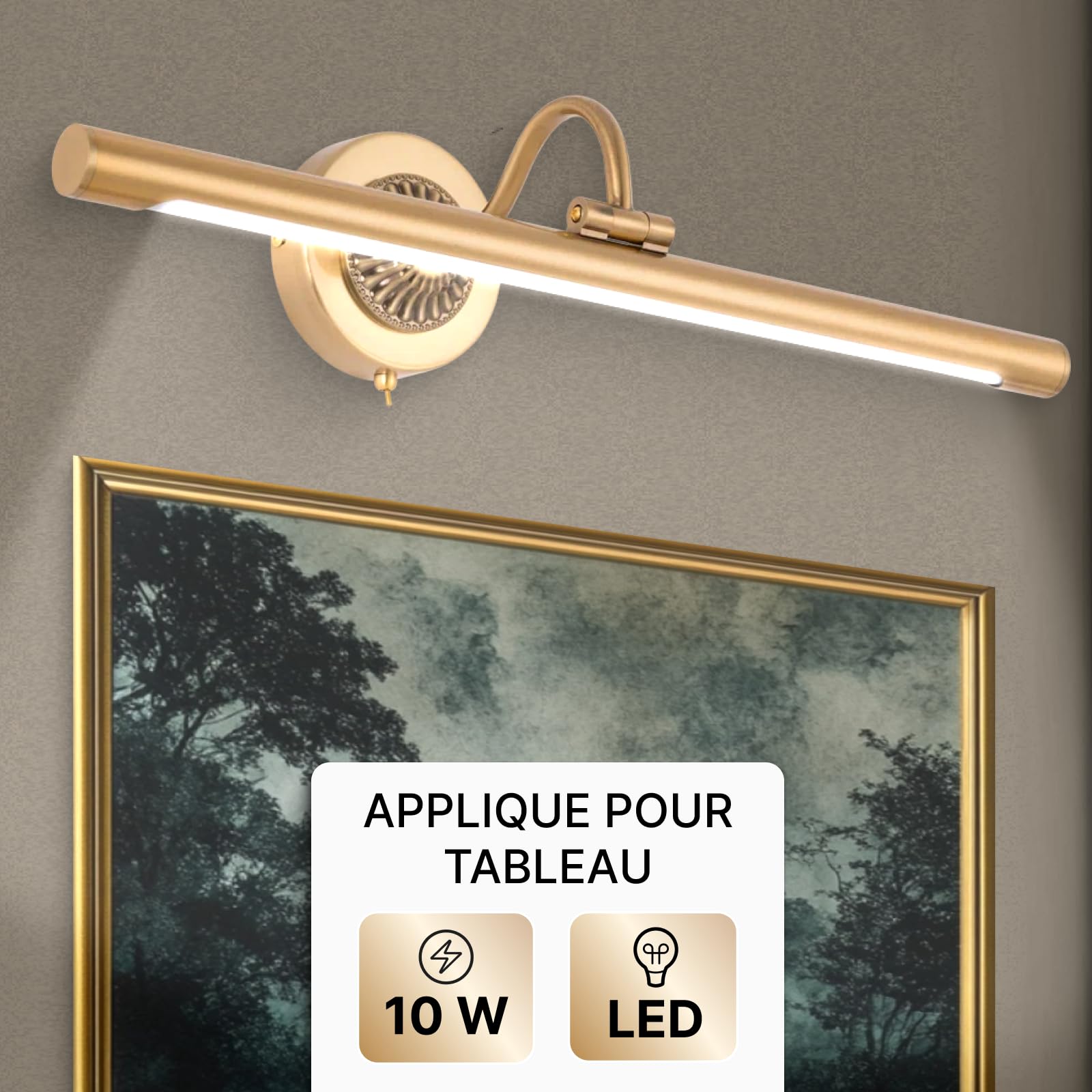 ARTE LAMP Applique murale d'intérieur – lampe LED pour tableau – pour la maison - avec câble et prise pour réseau