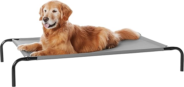 Amazon Basics Cooling Elevated Pet Bed - Grey, L