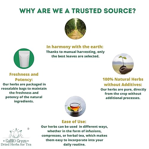 Vista 10 de Hierba Mexicana Cancerina Hierba Mexicana - Hierbas de té de cáncer 100% naturales de 8 onzas, Calluna vulgaris, hierbas cancerinas, Hierva