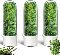 HVECT Herb Saver Pods 3-Pack: Keeps Cilantro, Parsley, Mint, Asparagus Fresh 2-3 Weeks in Fridge