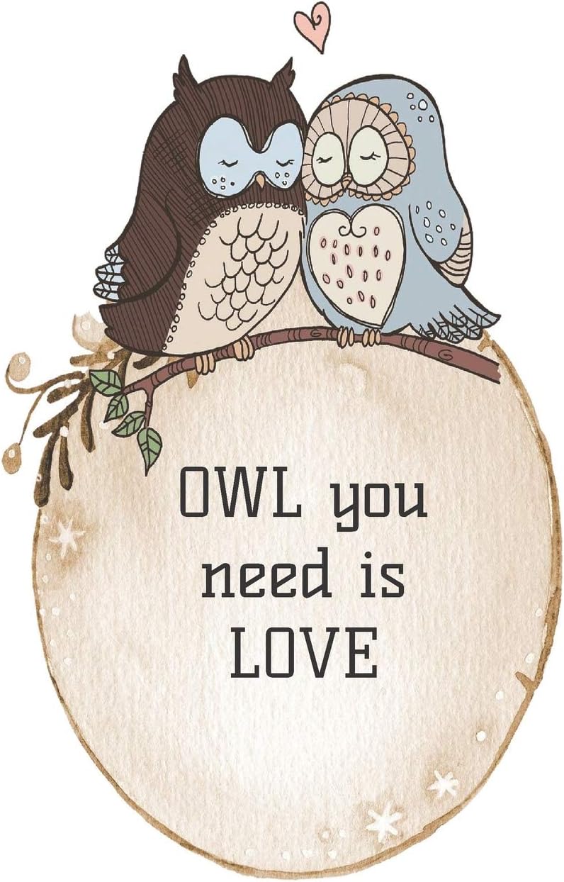 OWL you need is love: Journal with 100 dot grid pages featuring a sweet owl couple on the front and back covers, size is 5" x 8"