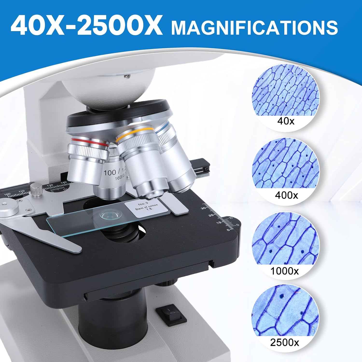 Professional 40X-2500X Lab Binocular Compound Microscope for Clinical Research - 4 Achromatic Objectives, Double-Layer Mechanical Stage, Coaxial Focus - High-Precision LED Scope for Labs & Medicine
