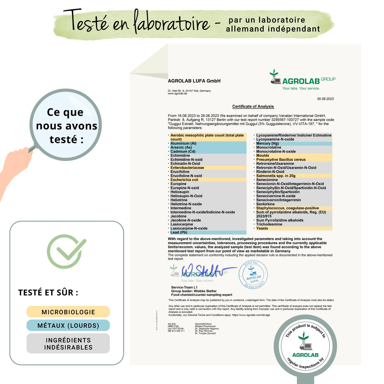 Guggul PREMIUM Vegavero® | 120 Gelules (4 mois) | 5% de Guggulstérones | Cholesterol + Antioxydant Puissant | DOSE LA PLUS ELEVEE: 500 mg d'Extrait | Sans Additifs et VEGAN