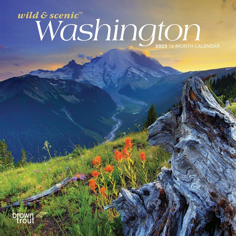 Amazon.com: Washington Wild & Scenic | 2023 7 x 14 Inch Monthly Mini Wall  Calendar | BrownTrout | USA United States of America Pacific West State  Nature : BrownTrout Publishers Inc., BrownTrout