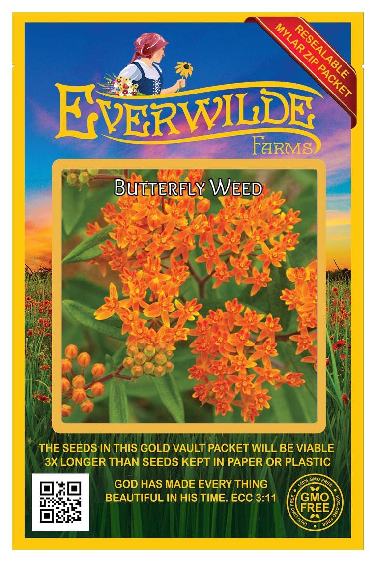 Everwilde Farms - 80 Butterfly Weed Native Wildflower Seeds - Gold Vault Seed Packet