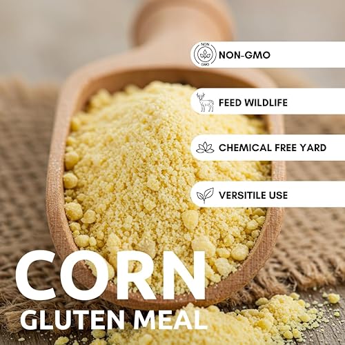 Vista 3 de CZ Grain Harina de gluten de maíz - Producida y enviada para Iowa, Estados Unidos (25 libras)