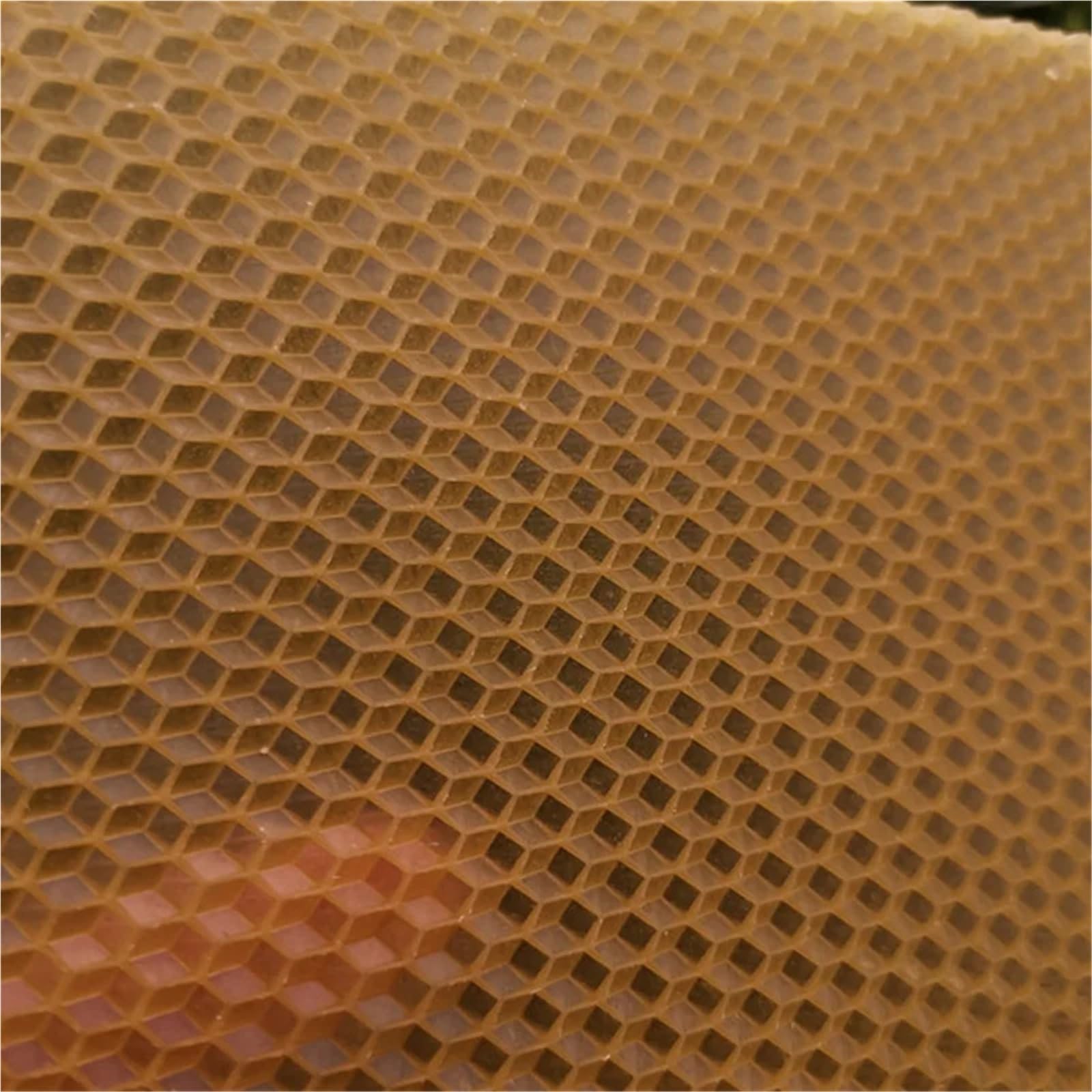 30 láminas de base for colmenas, láminas de base de cera de abejas profundas for de abejas, herramienta de apicultura, 41,5 x 19,5 cm