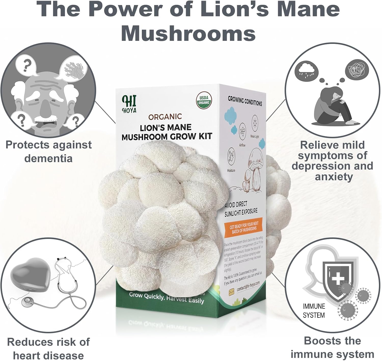 Lions Mane Mushroom Grow Kit - Organic Edible 4 lbs Mushroom Growing Kit, Grow Your Own Lion’s Mane Mushroom at Home, Handmade in USA, Non-GMO, Holiday Gardening Gift