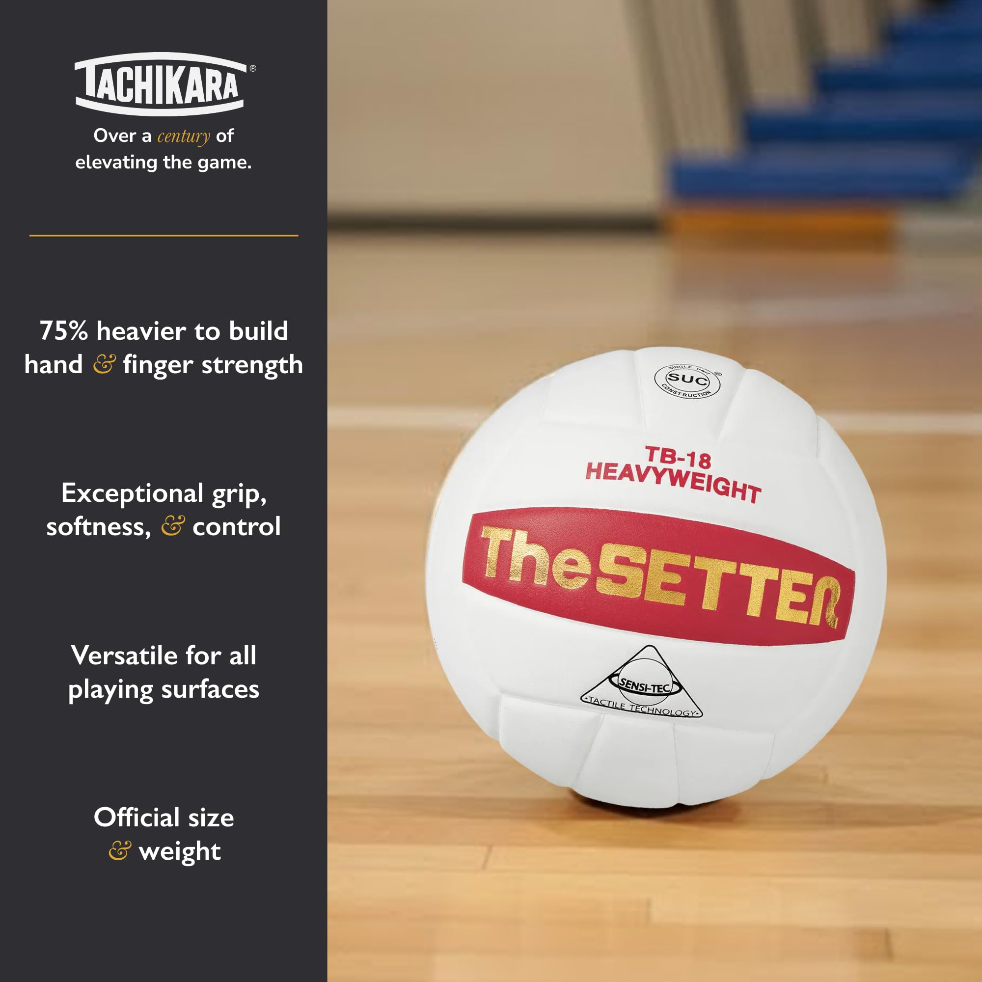 Amazon.com : Tachikara Tb-18 The Setter Weighted Training