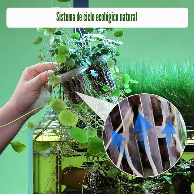 Foto 6 de 6 de DONGKER Soporte para plantas de acuario, soporte colgante para acuario de 5 cm