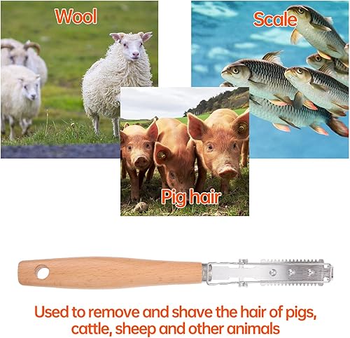 Miniatura 7 de BESTonZON Cuchillo removedor de acero cuchillo de animales de cerdo procesamiento de recortadora de cocina eliminación de restaurantes mango de aves