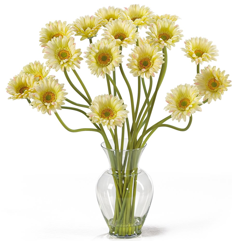 Nearly Natural 1086-CR Gerber Daisy Liquid Illusion Silk Flower Arrangement, Cream