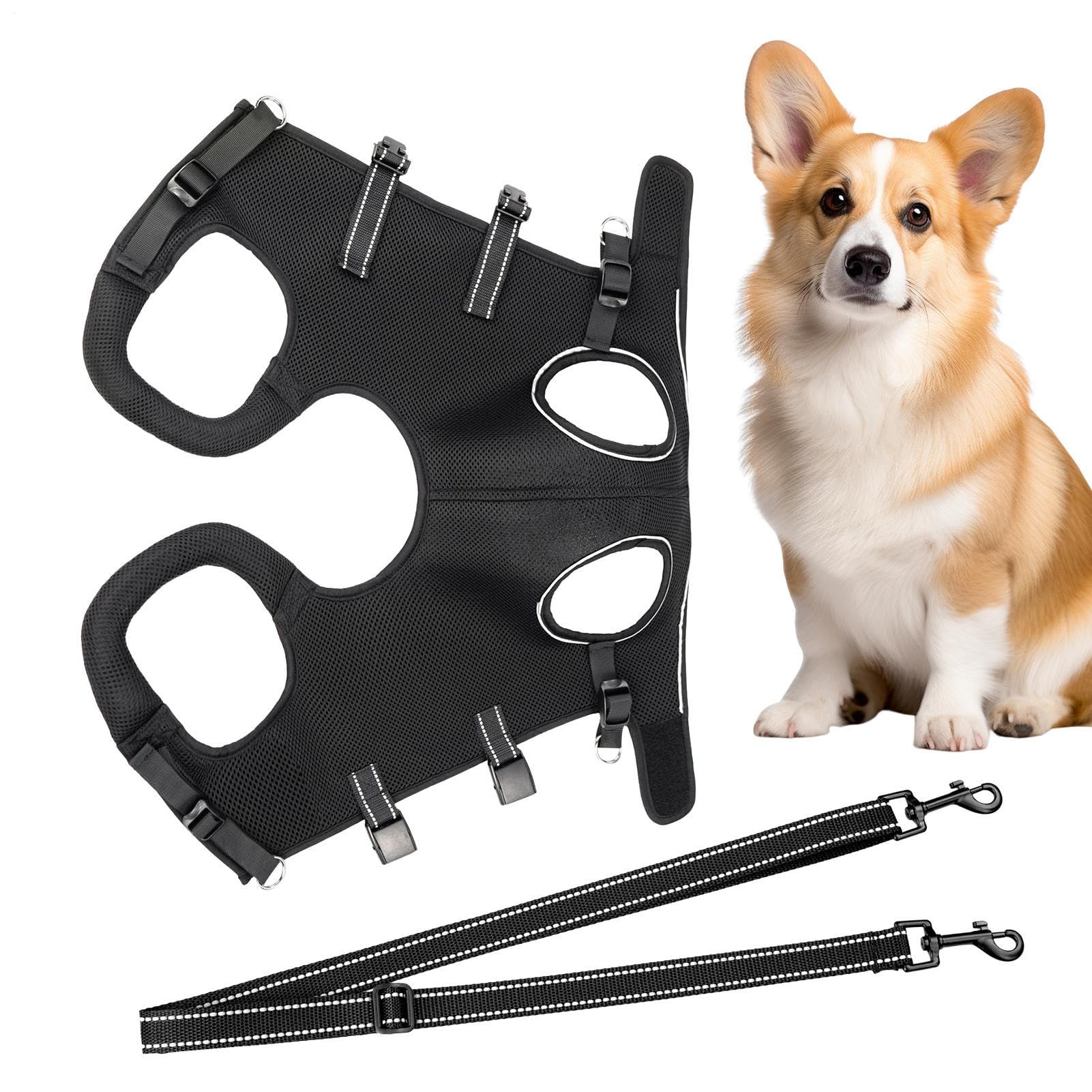 Harnais de levage pour chiens âgés soulagement bassin pattes