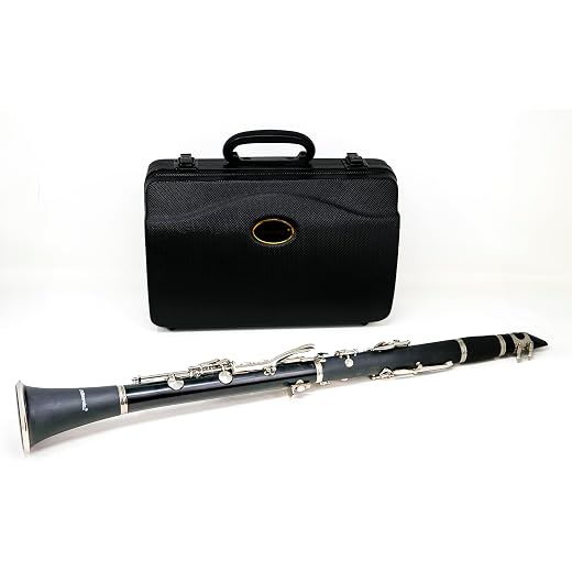 Hisonic Signature Series 2610 Bb Orchestra Clarinet with Case