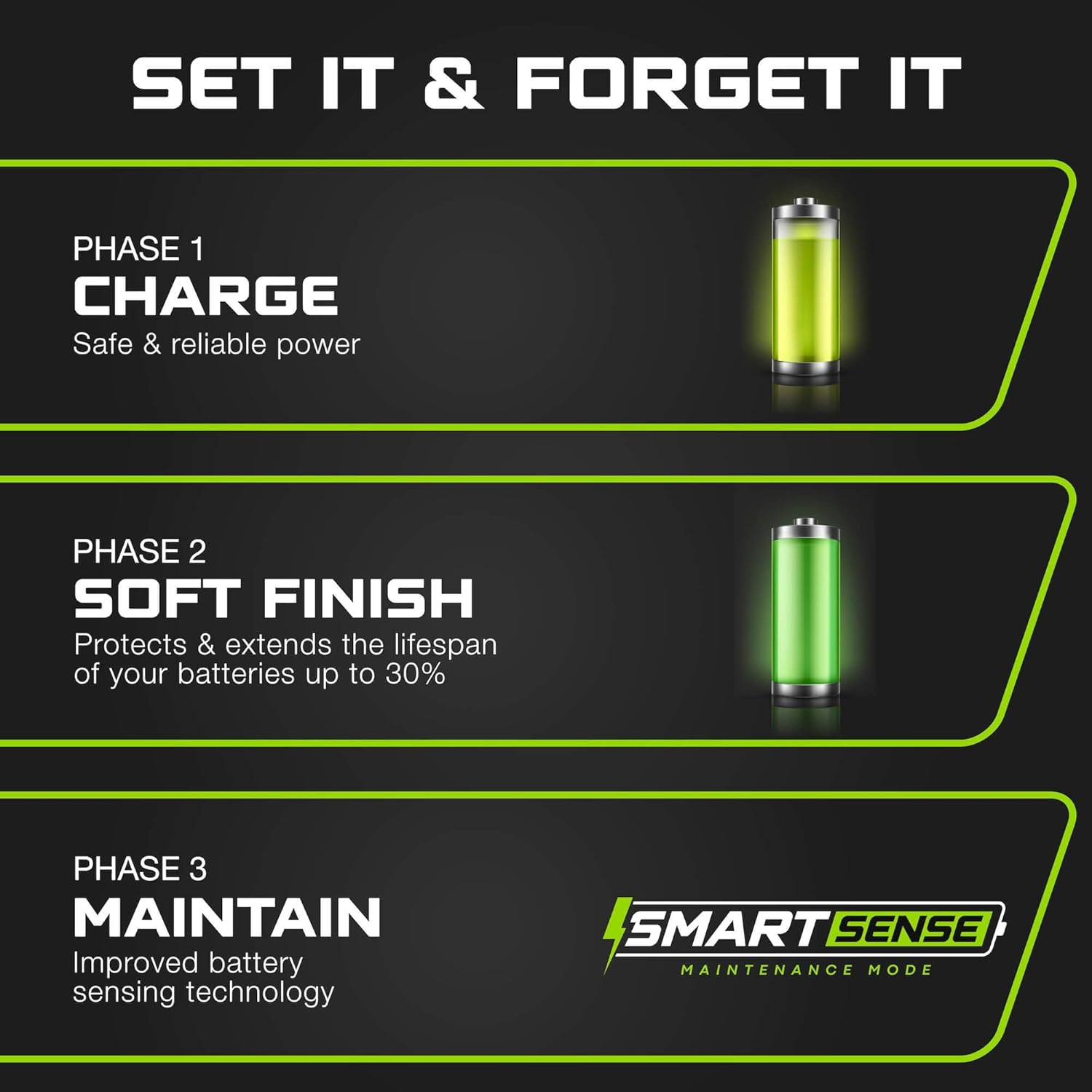 FORM 48 Volt Golf Cart Battery Charger for ICON Golf Carts - 48V 15 AMP Lithium, LiFePO4, Lead Acid, AGM