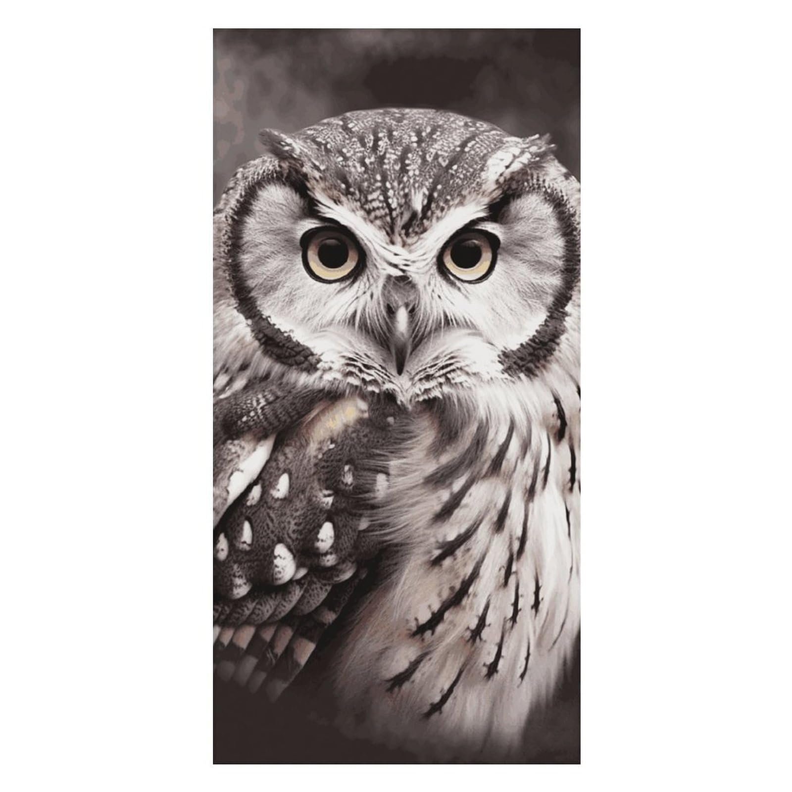 QMKFWT Owl Beach Towels Extra Large, Quick Dry Absorbent Multipurpose, Oversized Beach Towel, Sand Free Foldable Lightweight, Travel Towel, for Beach Pool Camping Travel Vacation, 63x31.5 in