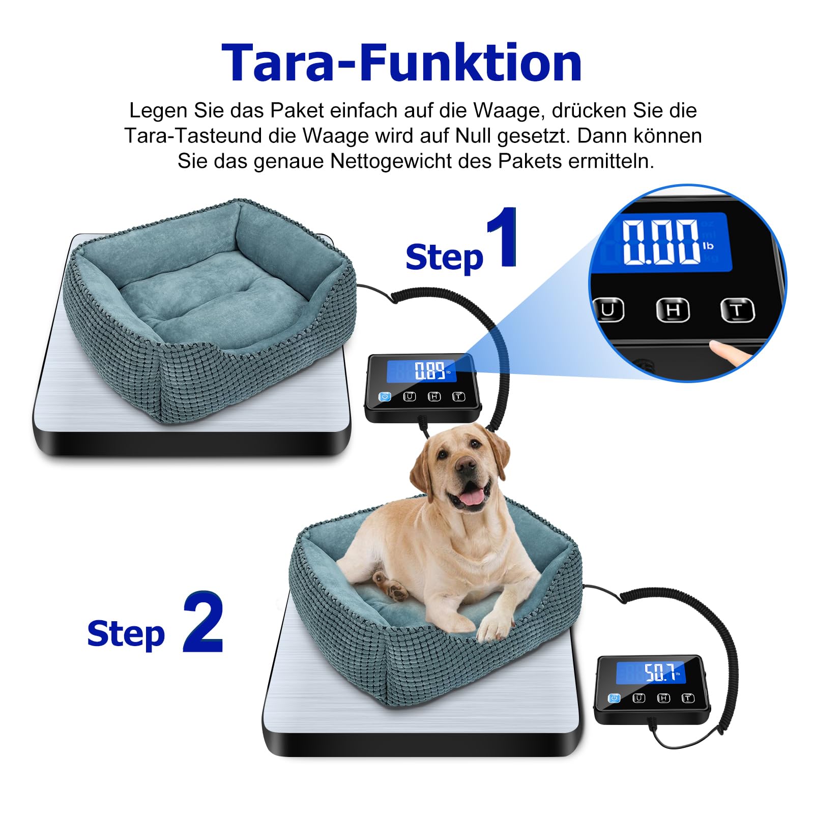 BRICH Balance à plateforme haute précision 200 kg/10 g avec fonction maintien/tare – Design robuste en acier inoxydable, écran LCD, 4 unités et montage mural – Balance numérique pour colis pour