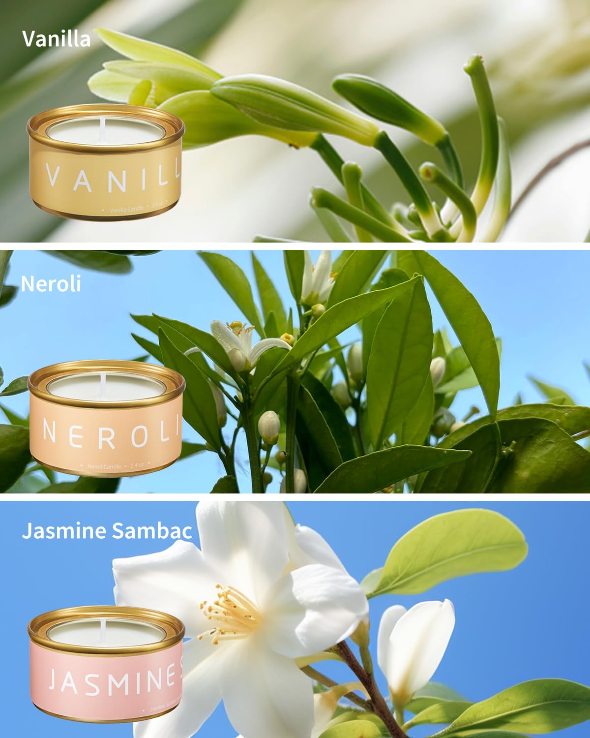 VTS Velas aromáticas para el hogar, paquete de 6 velas de aromaterapia (lavanda, vainilla, pera inglesa y fresia, neroil, salvia clara, jazmín sambac), juego de velas de regalo para relleno de 4