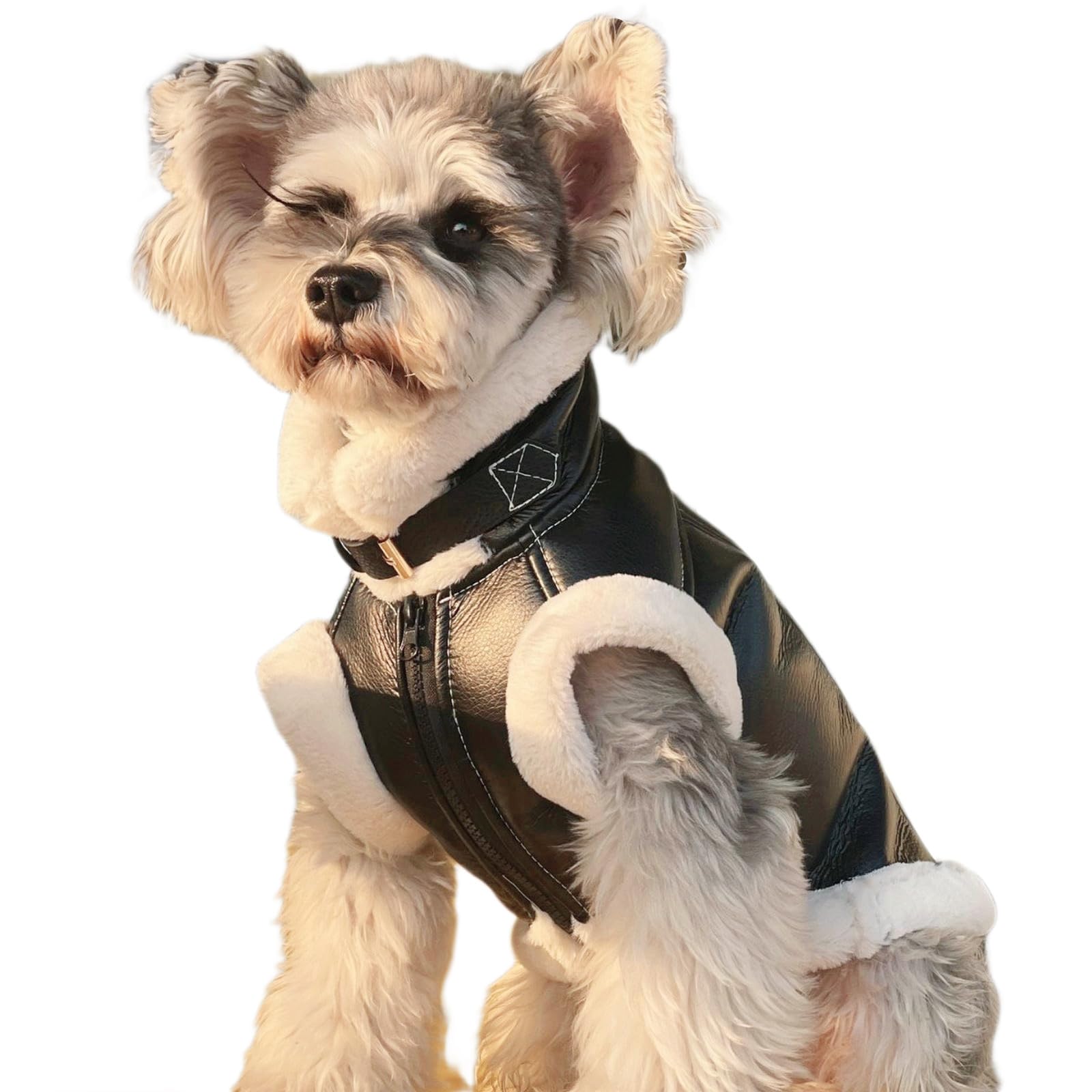 Leather Jacket for Dogs Waterproof Coat with Fleece Lining Winter Warm Halloween Rock Star Costume Motorcycle Clothes