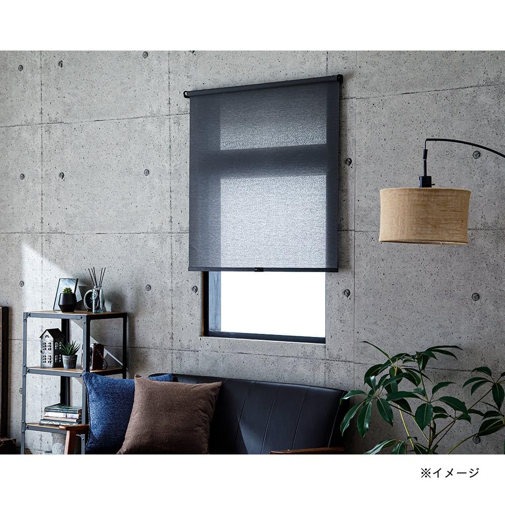 CAINZ 遮光 ロールスクリーン プルコード式 90×220cm グレー 2本