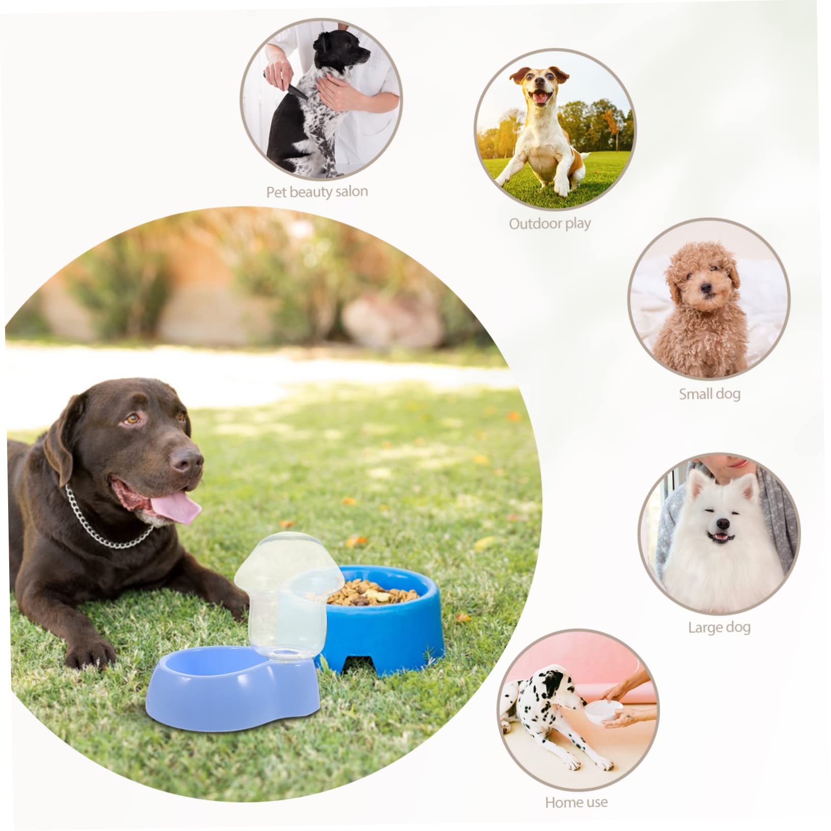 COLLBATH 3sätze Automatischer Transparenter Wasserspender Für Haustiere Kunststoff Trinknapf Für Hunde Und Katzen Einfach Zu Reinigen Für Und Unterwegs