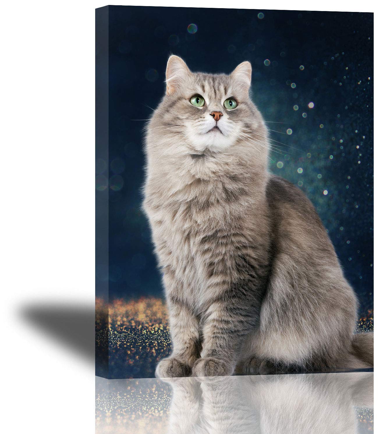 Cat Wall Art for Bedroom Wall Decoration 12x16inch with Frame Brown Cat Bathroom Poster Decor Animal Under Starry Sky Canvas Artwork with Hook Ready to Hang Cat Photo Prints on Canvas Painting Picture