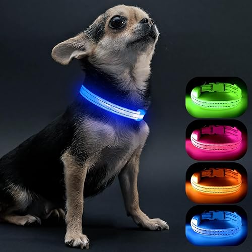 Visinite Collares de perro iluminados para perros pequeños, collar de perro LED recargable con luz, collar de perro iluminado totalmente ajustable,