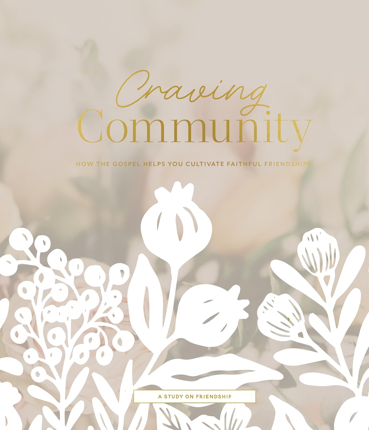 Craving Community | A Study on Friendship