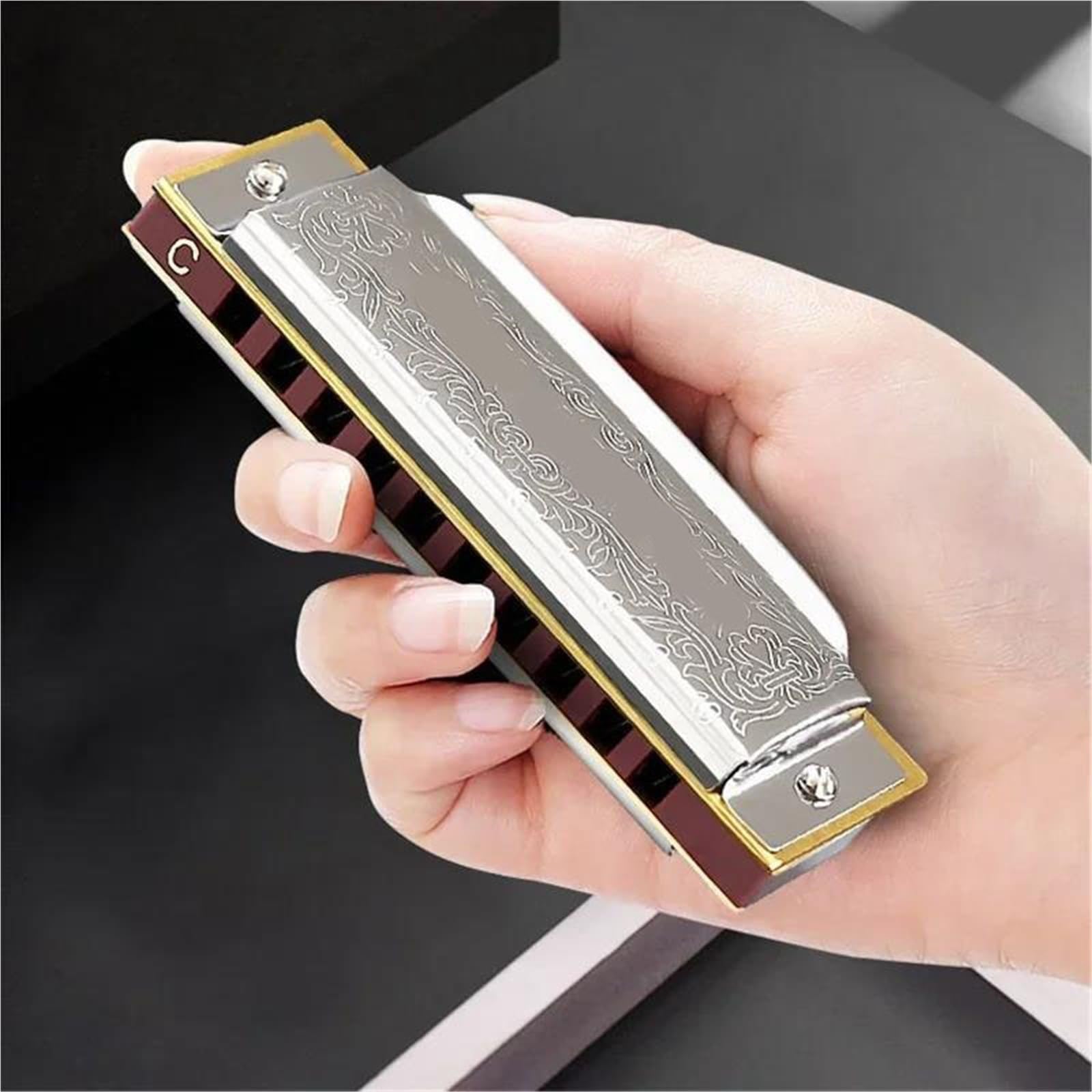 Einsteiger Mundharmonika C-Dur Standard Blues Mundharmonika 10 Löcher 20 Töne Geeignet Für Anfänger