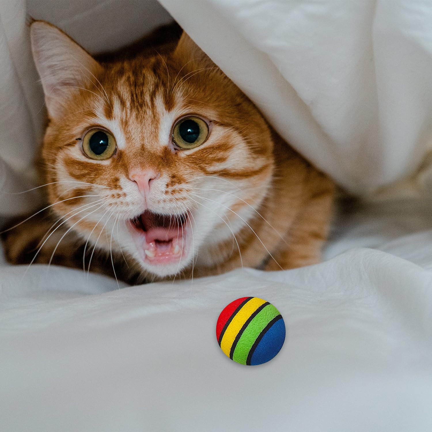 Luckious 12 Pcs Cat Ball Toys 3.5 CM EVA Foam Interactive Cat Toys Balls Cat Play Exercise Chase Training Toys Balls Indoor Kitten Play Soft Interactive Cat Toys - Image 3