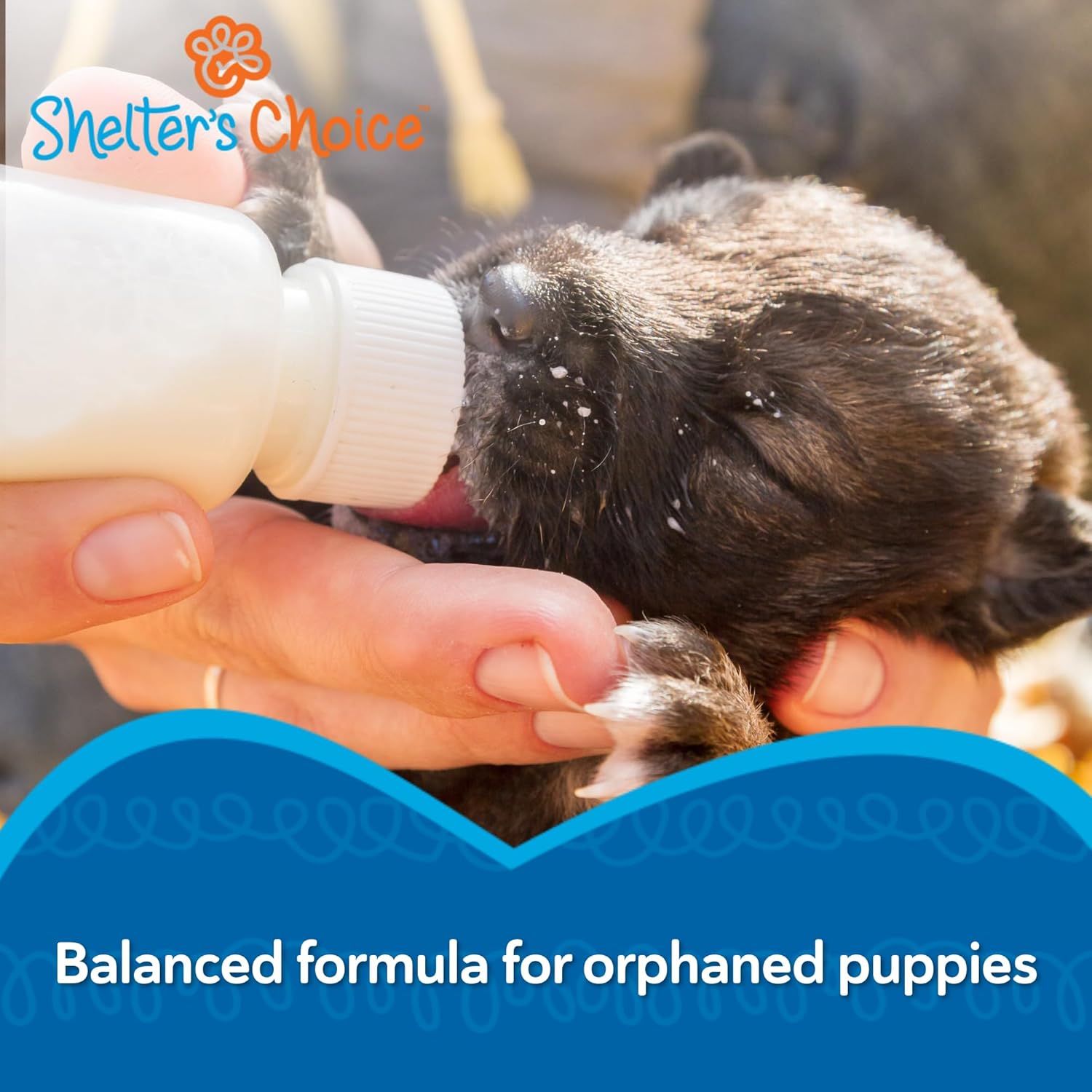 Shelter's Choice Puppy Milk Replacer, Milk for Abandoned Puppies or Puppies Born in Shelters, Provides Complete Nutrition, Supports Healthy GI Tract, and is Easy to Mix, 3.5 lb
