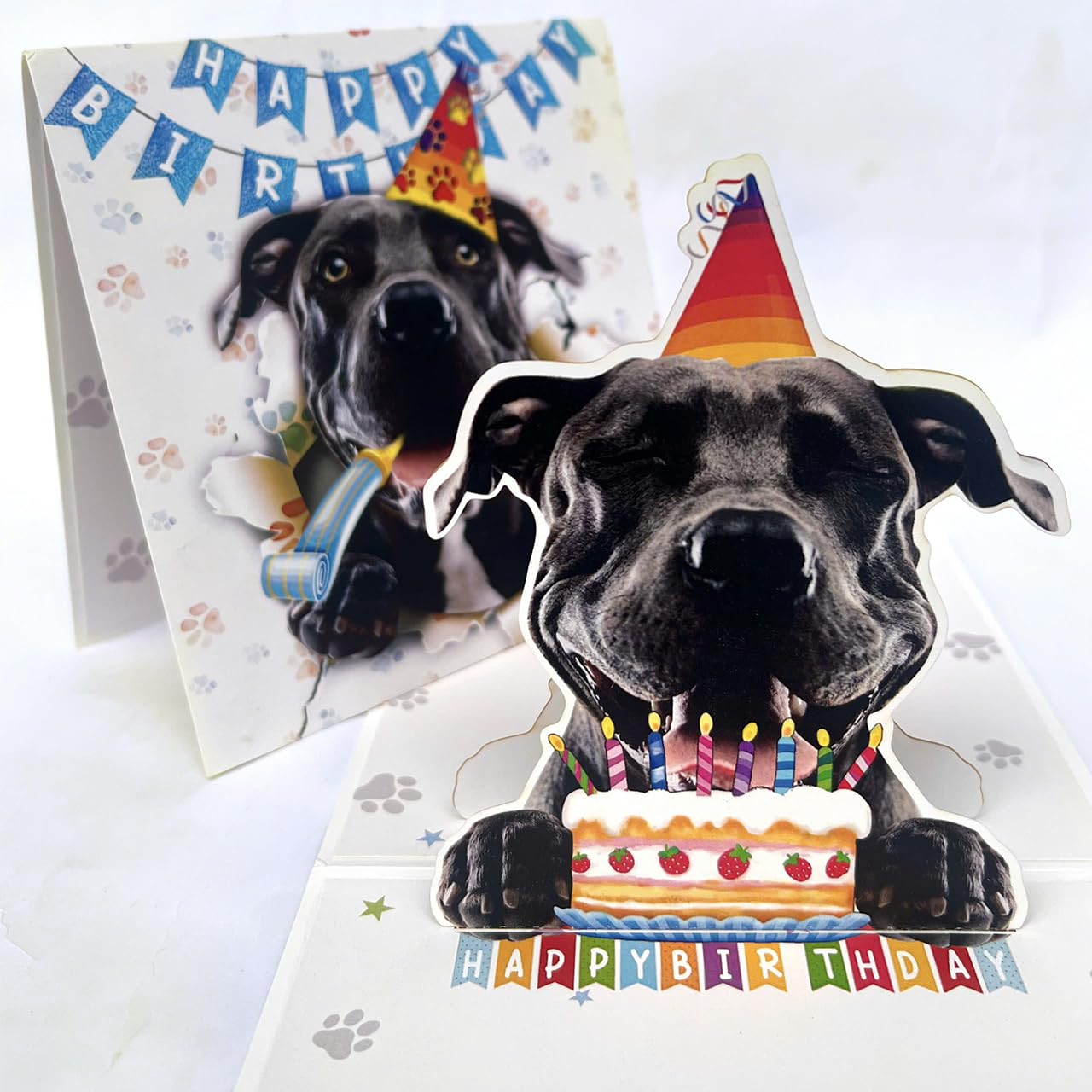 Momapopup American Pit Bull Terrier Birthday Card 3D Pop Up — Pitbull with Party Hat & Birthday Cake, Funny Birthday Card for Pit Bull Lovers, Pittie Mom Dad Gift, 6x6 Inch, Includes Envelope