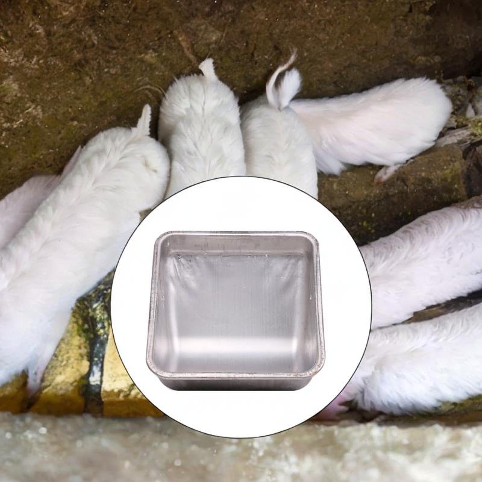 Comedero para Cerdos de Acero Inoxidable con Diseño de Doble Fijación Y Distribución Eficiente Recipiente para Alimentación de Cerdas Fácil de Limpiar, Regular Grueso