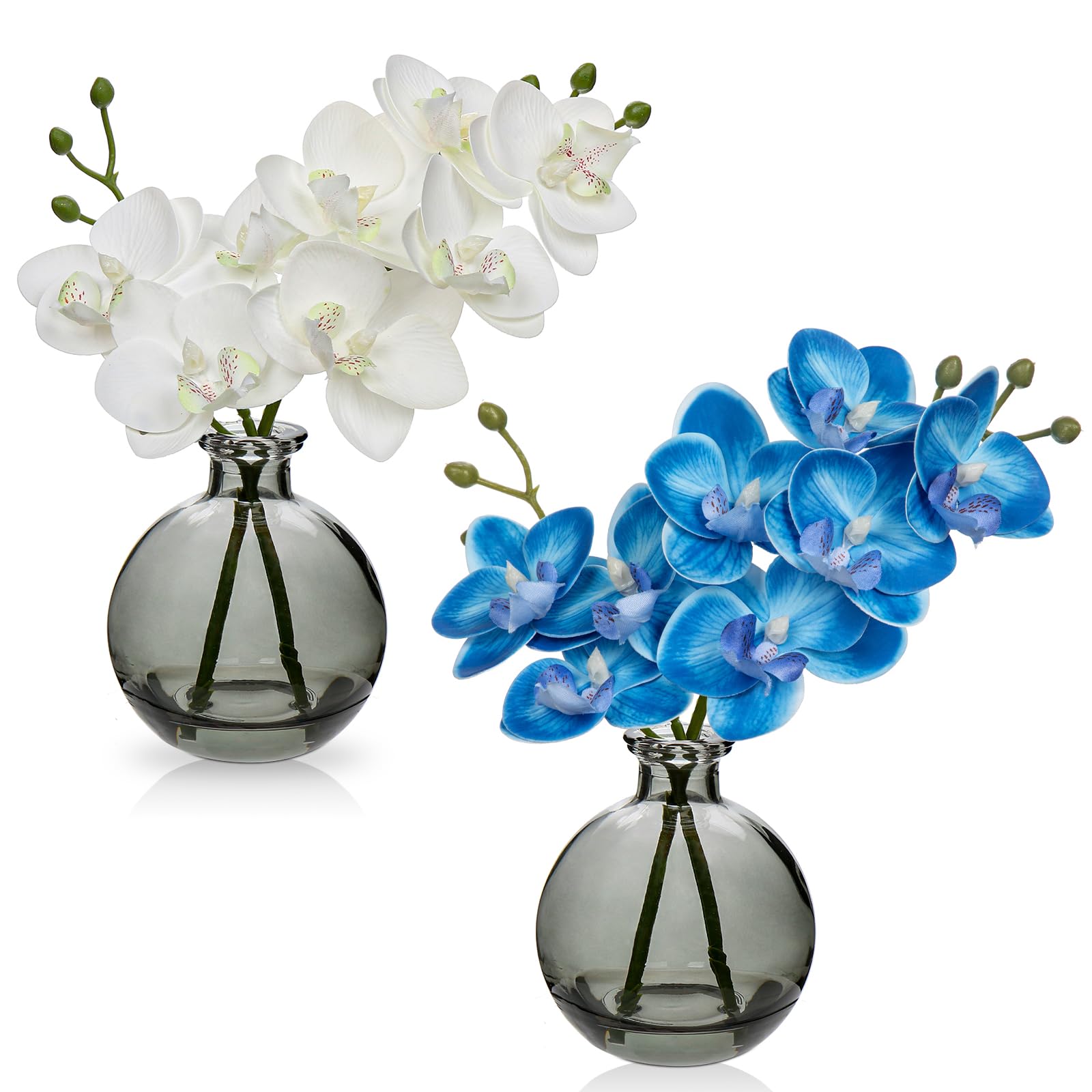Hollyone 2pcs Artificial White Blue Orchid Flower in Vase, Small Fake Orchid Plant with Glass Vase, Decorative Faux Phalaenopsis for Wedding, Centerpiece, Home Decor, Living Room Decorations