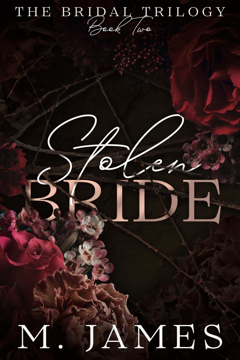 Stolen Bride (A Dark Mafia Arranged Marriage Romance) (The Bridal Trilogy)