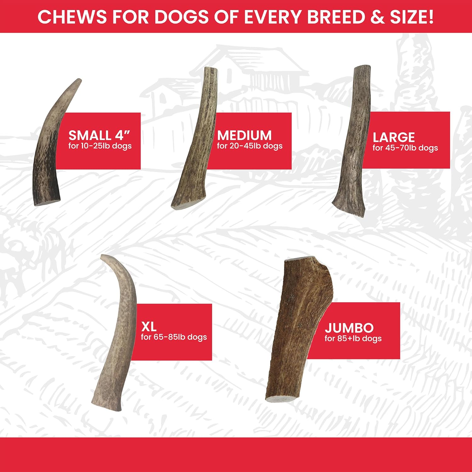 Elk Antlers for Dogs Large - Premium Natural Antler Dog Chew for Aggressive Chewers - Long-Lasting Deer Antler Chews - Ideal for Medium to Big Breed Dogs - Elk Bones and Antlers Durable